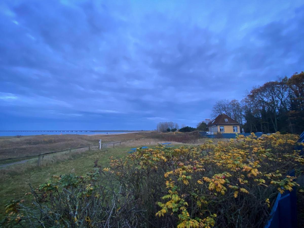 Skaerven Beachfront Apartments And Cottage Nyborg Buitenkant foto