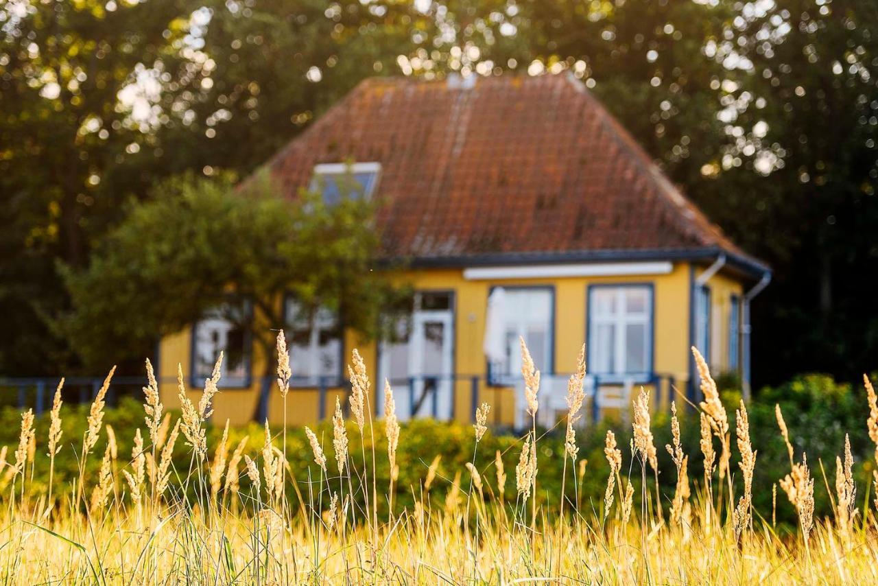 Skaerven Beachfront Apartments And Cottage Nyborg Buitenkant foto